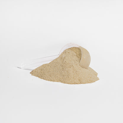 Advanced Whey Protein Isolate (Vanilla)